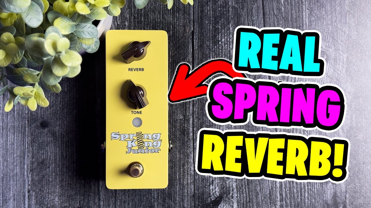 Danelectro Spring King Junior Reverb Pedal - YouTube