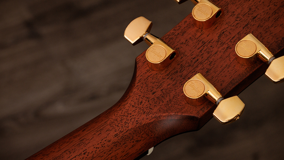 A detail photo of a Taylor Legacy 514CD Grand Auditorium acoustic guitar