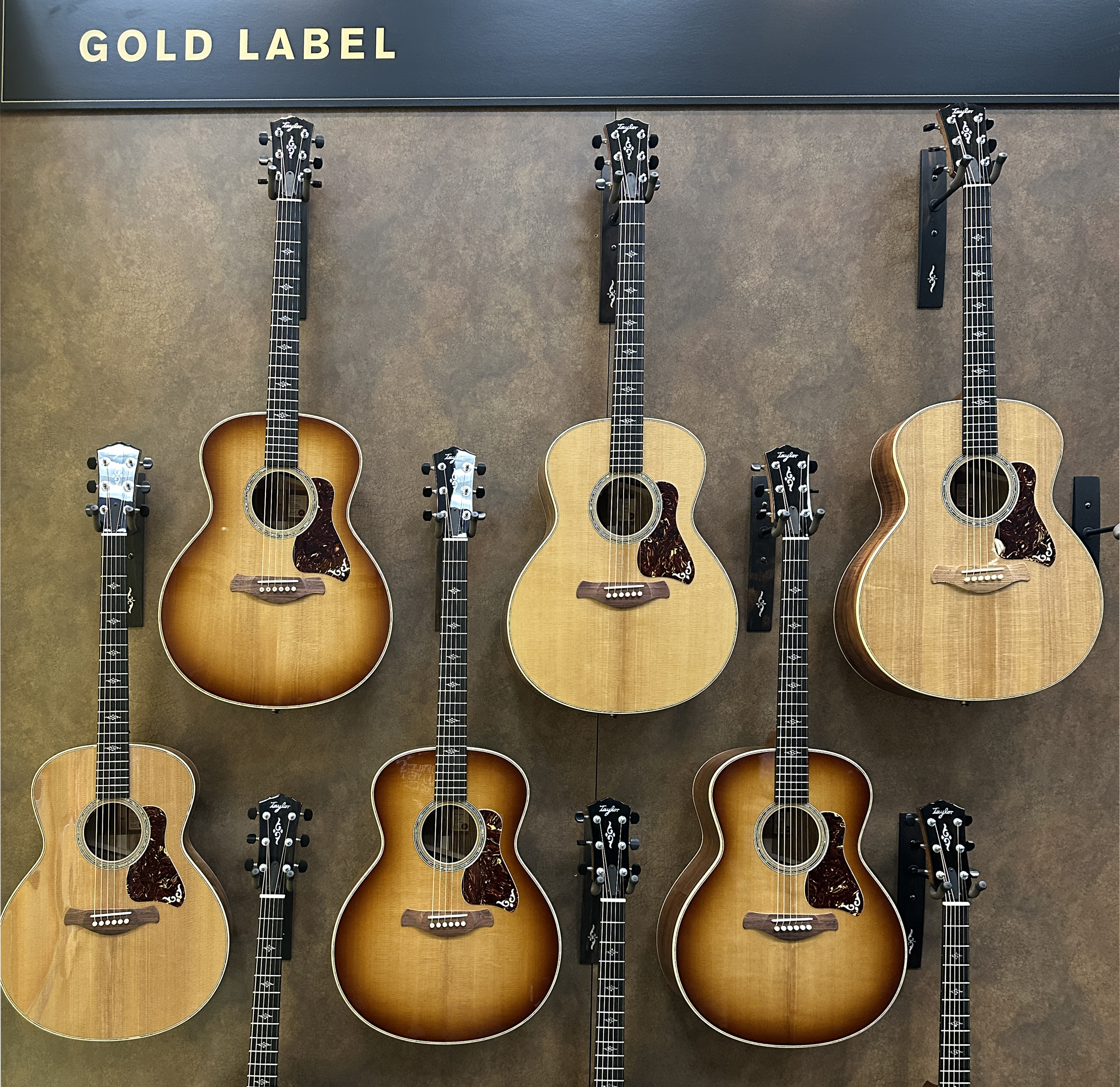 A photo showing a wall displaying the Taylor Gold Label Collection at NAMM 2025