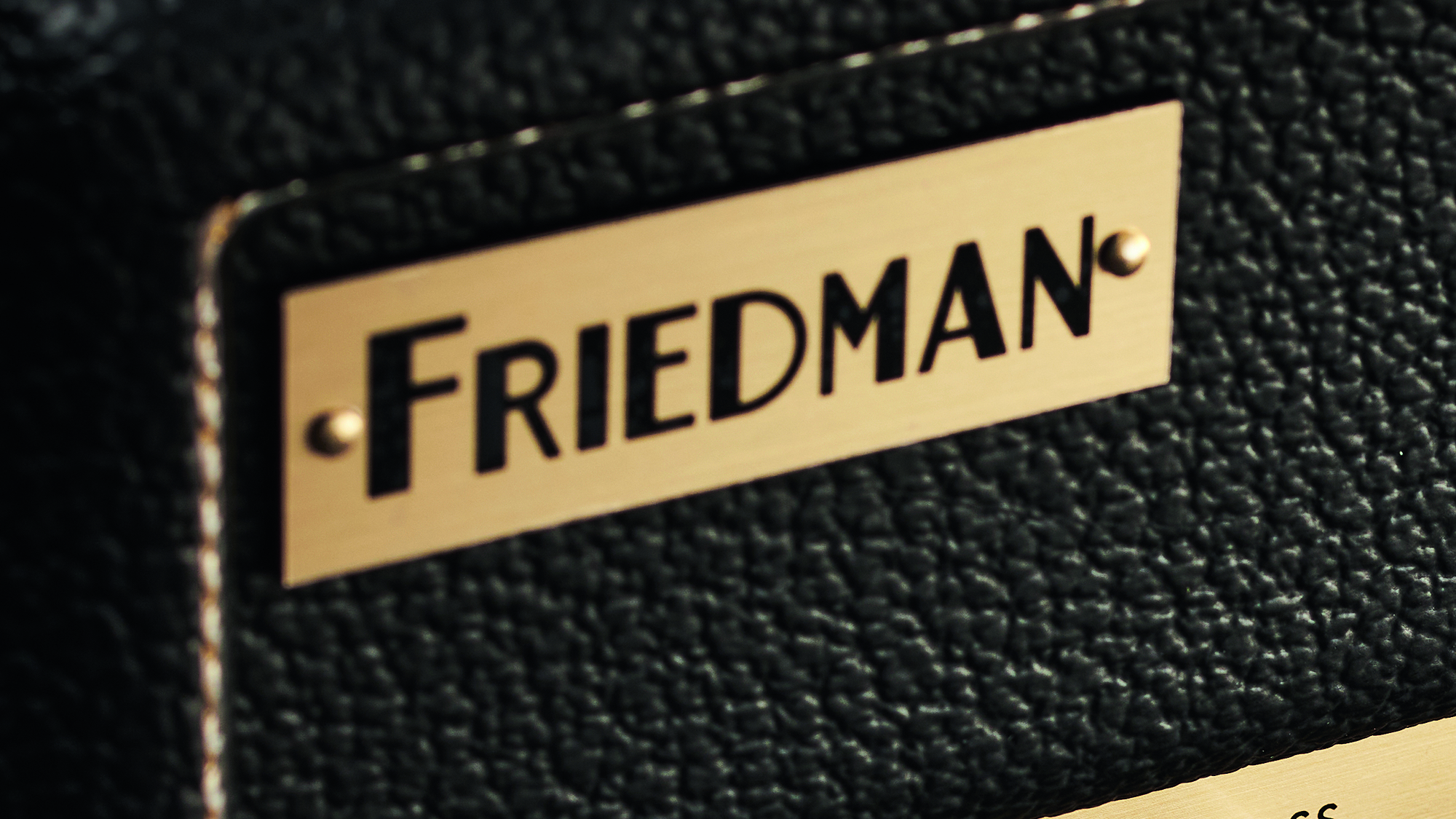 Friedman guitar amp panel