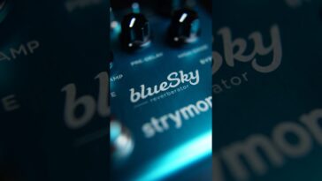 reverb pedal