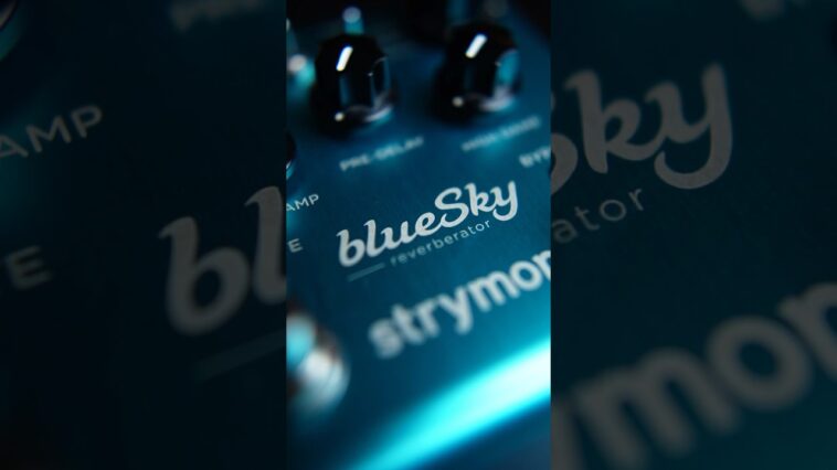 reverb pedal