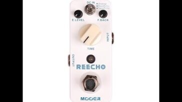 delay pedal