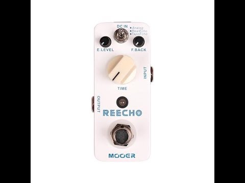 delay pedal