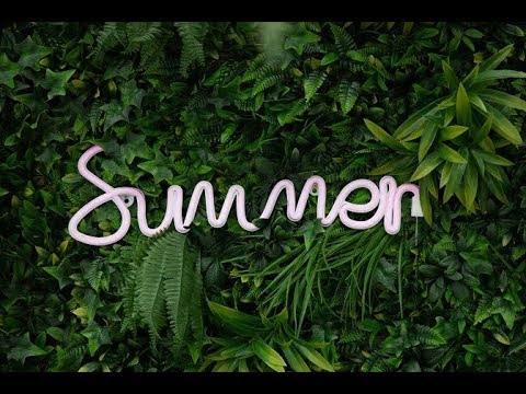 chill guitar track no copyright