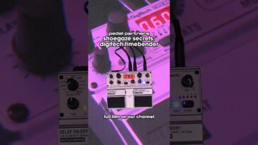 delay pedal