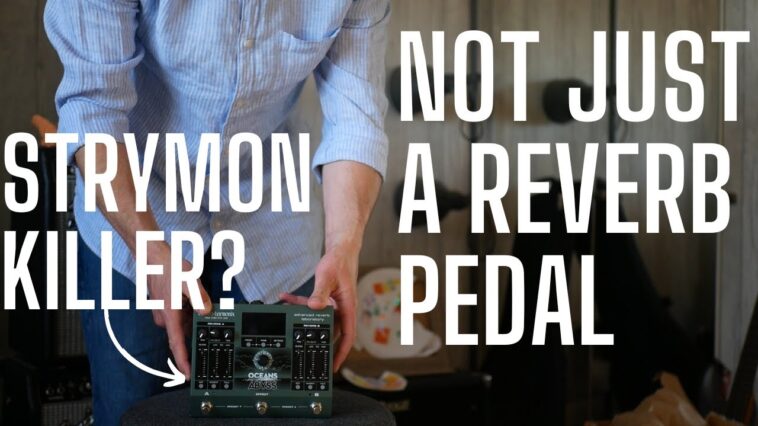 reverb pedal
