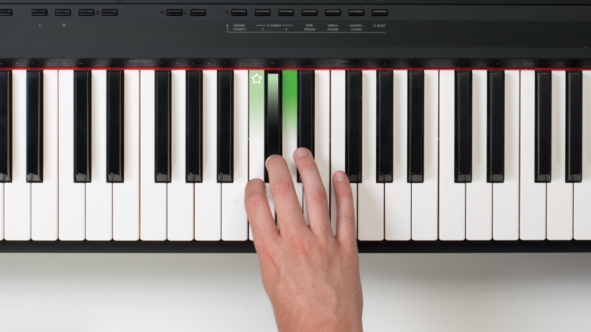 The piano keyboard
