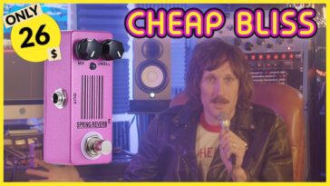 reverb pedal