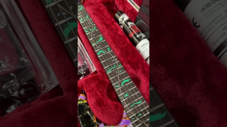 Ibanez guitar