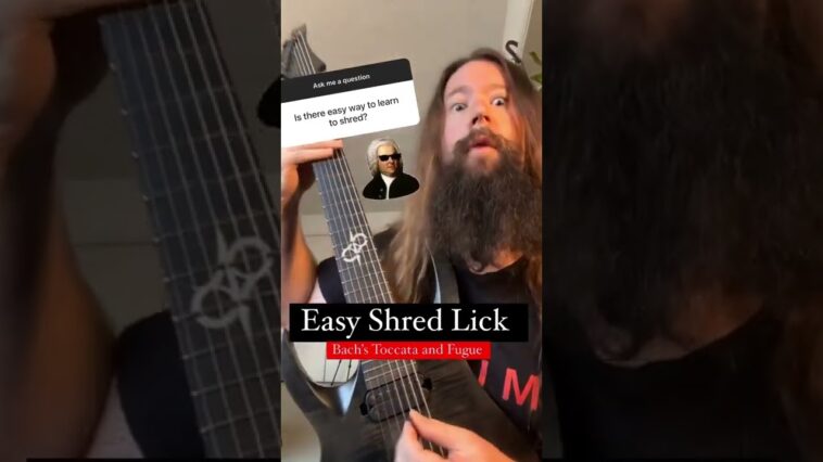 beginner guitar solo