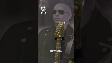 Ibanez guitar