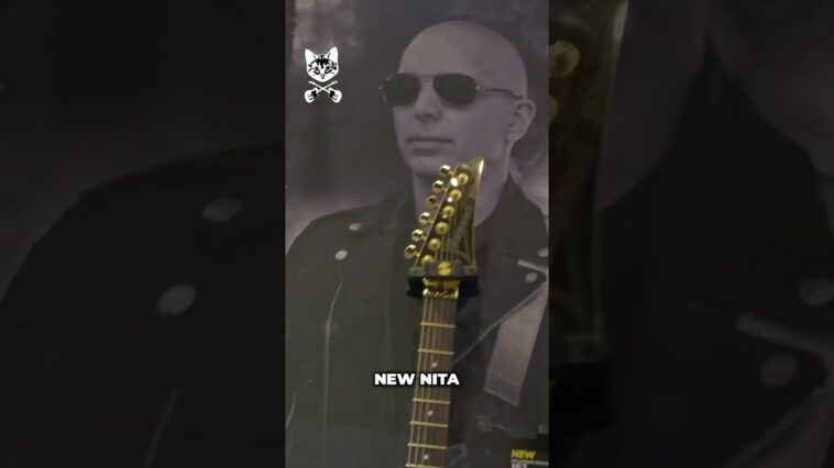 Ibanez guitar