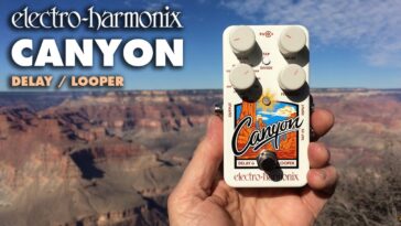 delay pedal