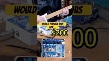 reverb pedal