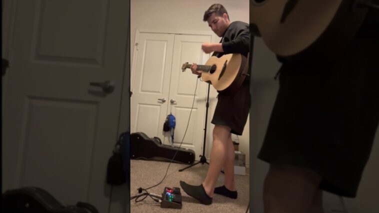 loop pedal