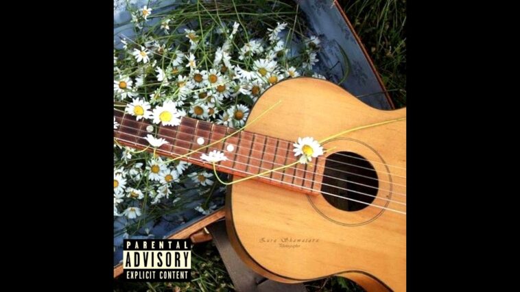 instrumental guitar