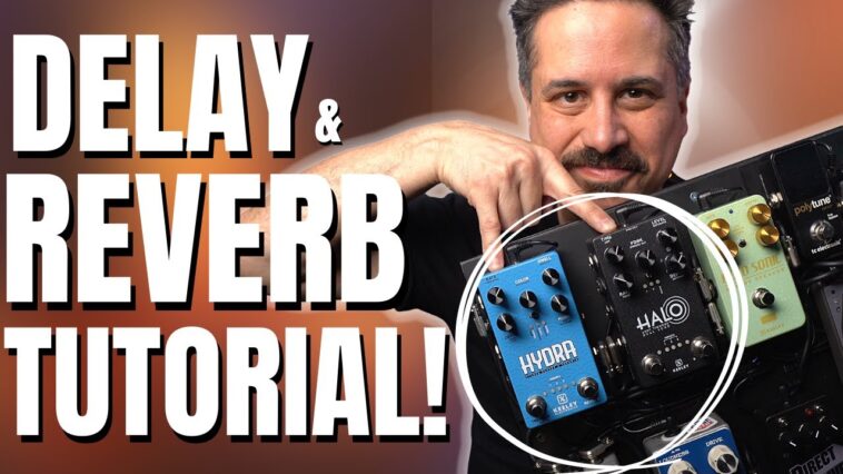 delay pedal