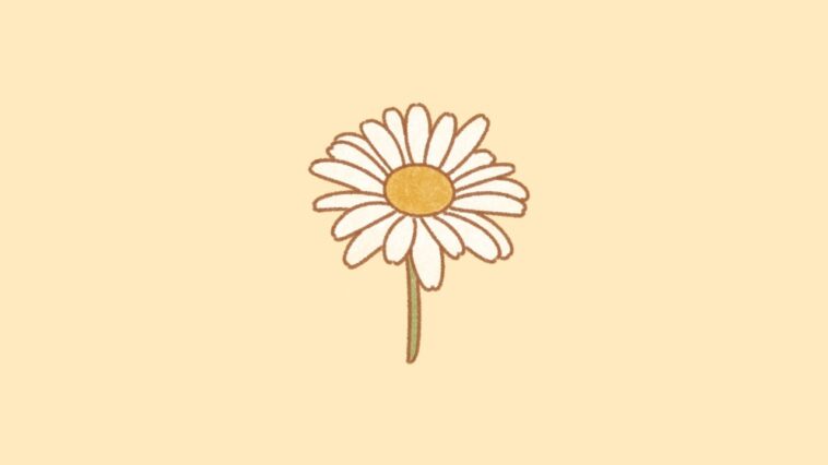 chill guitar track no copyright
