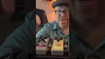 delay pedal