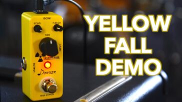 delay pedal