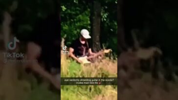 jam with me guitar