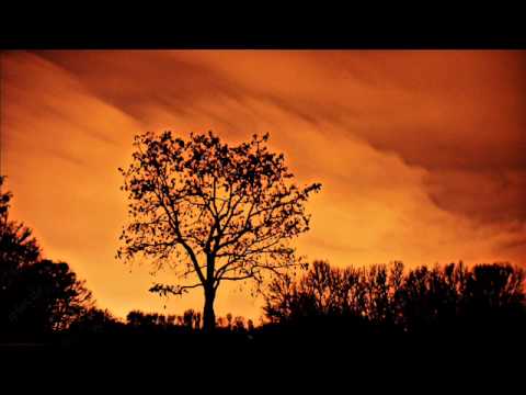 creative commons guitar backing track
