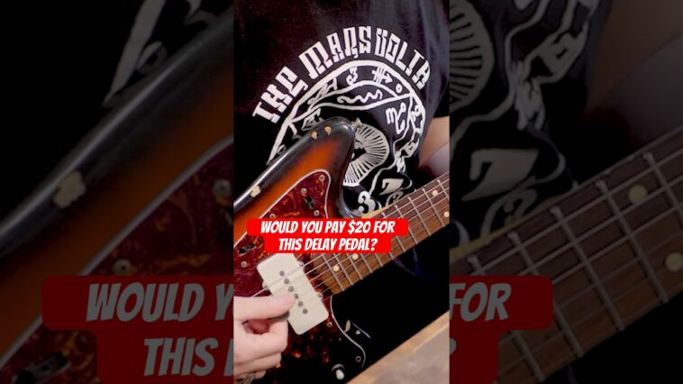 delay pedal