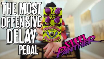 delay pedal