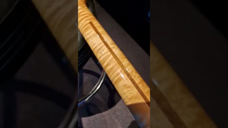 Fender Stratocaster