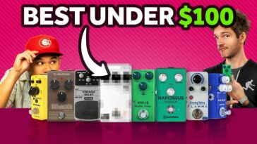 delay pedal