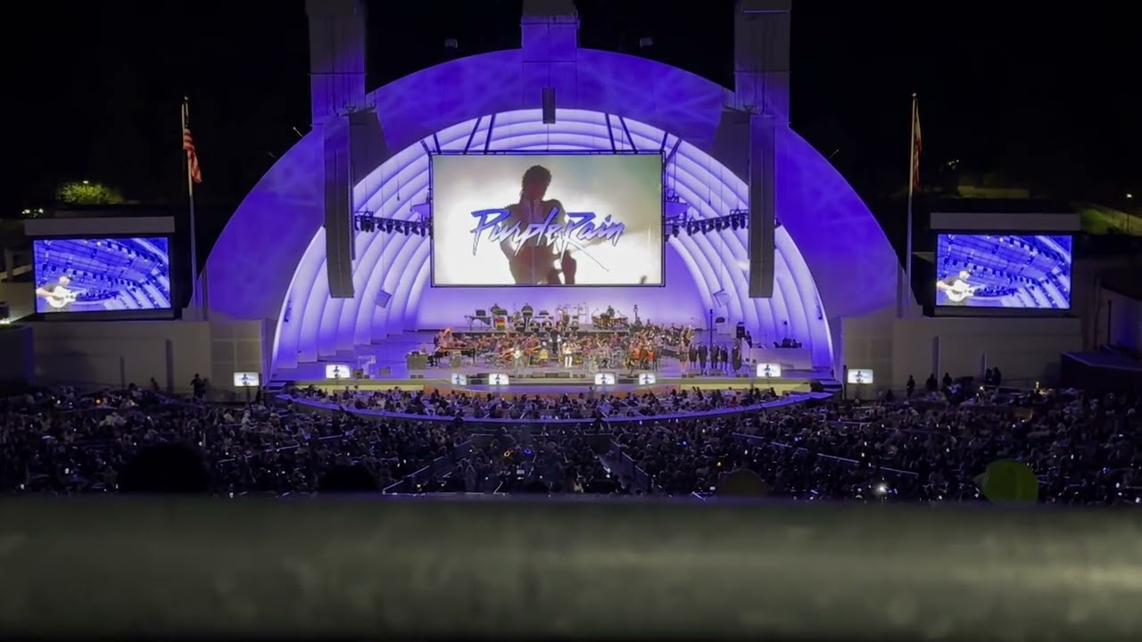 Tom Morello Purple Rain Solo - YouTube