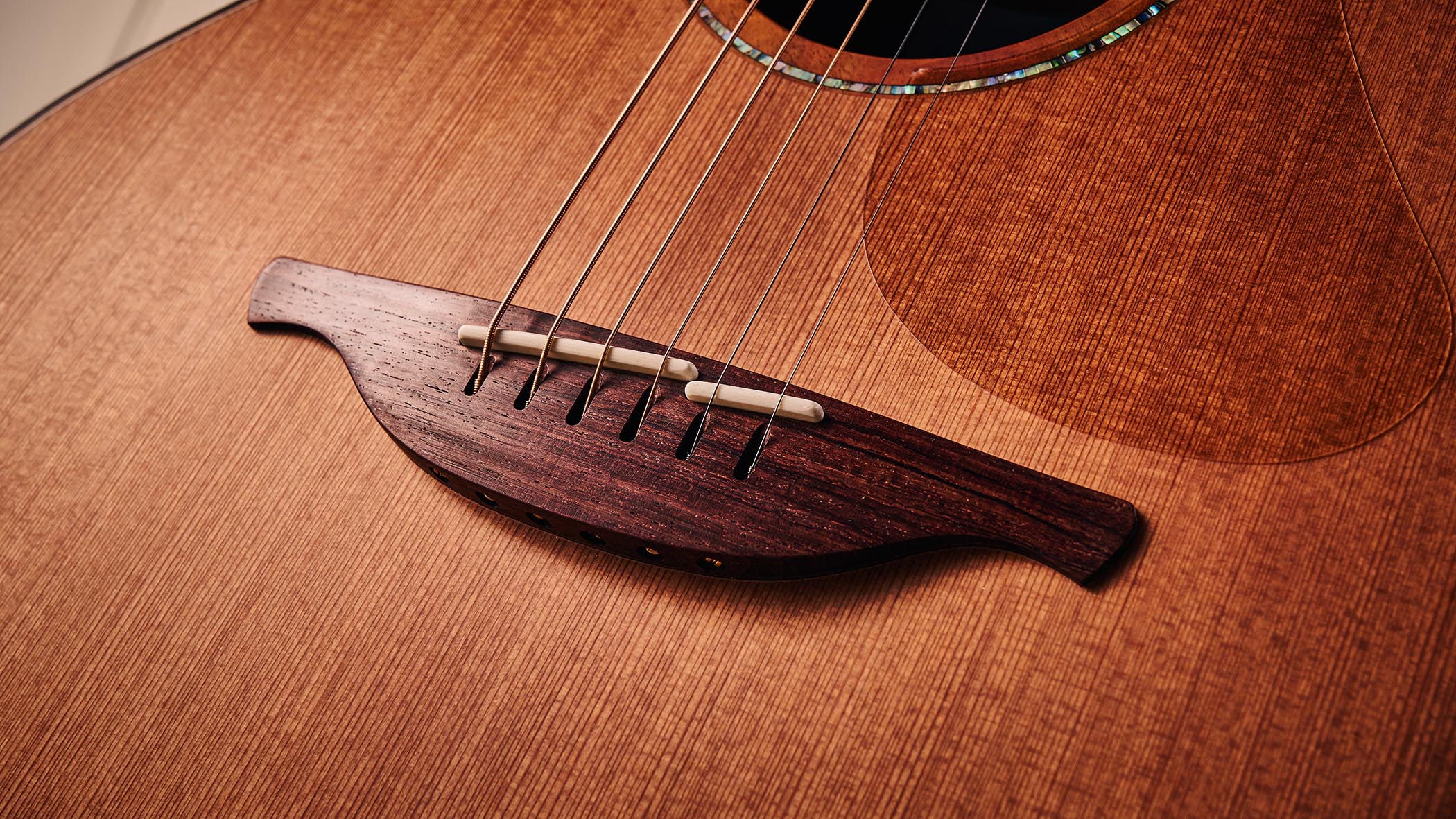 The Lowden F-50C is a $10,000-plus acoustic with a blackwood top and a build that would make your drool.