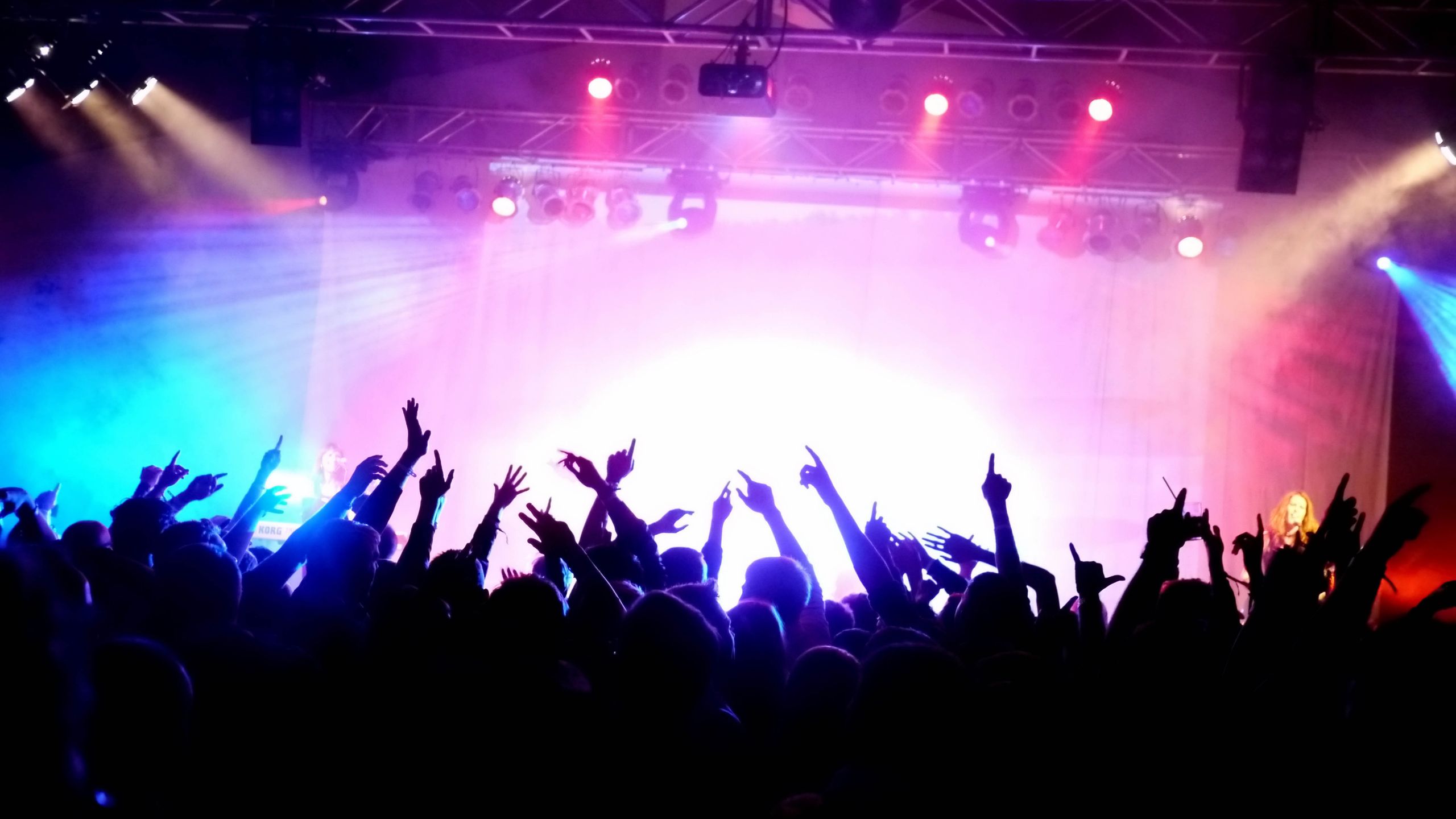 Trap and Shoegaze: The Music Trends of 2025?]