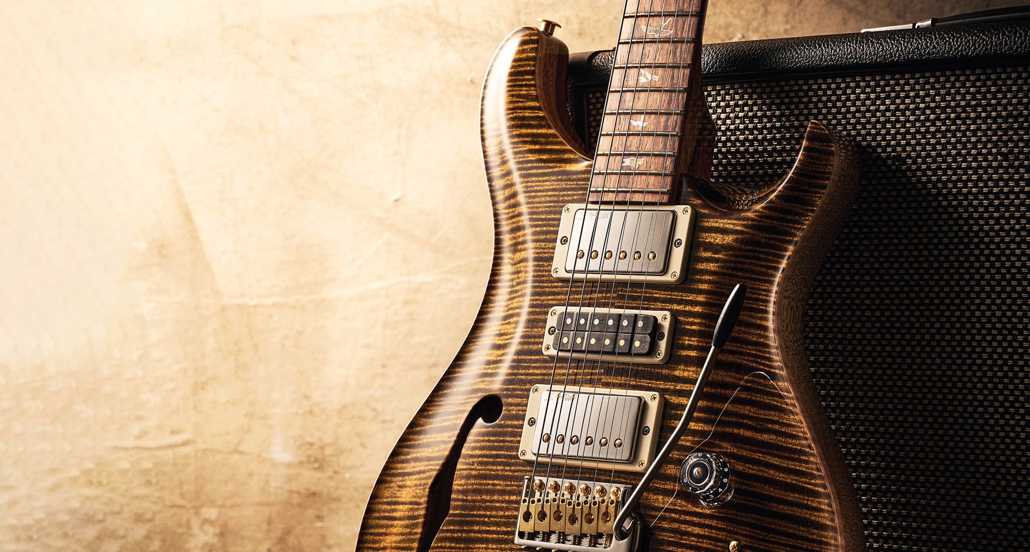 PRS 40th Anniversary Special Semi-Hollow: Stunning and Expensive]
