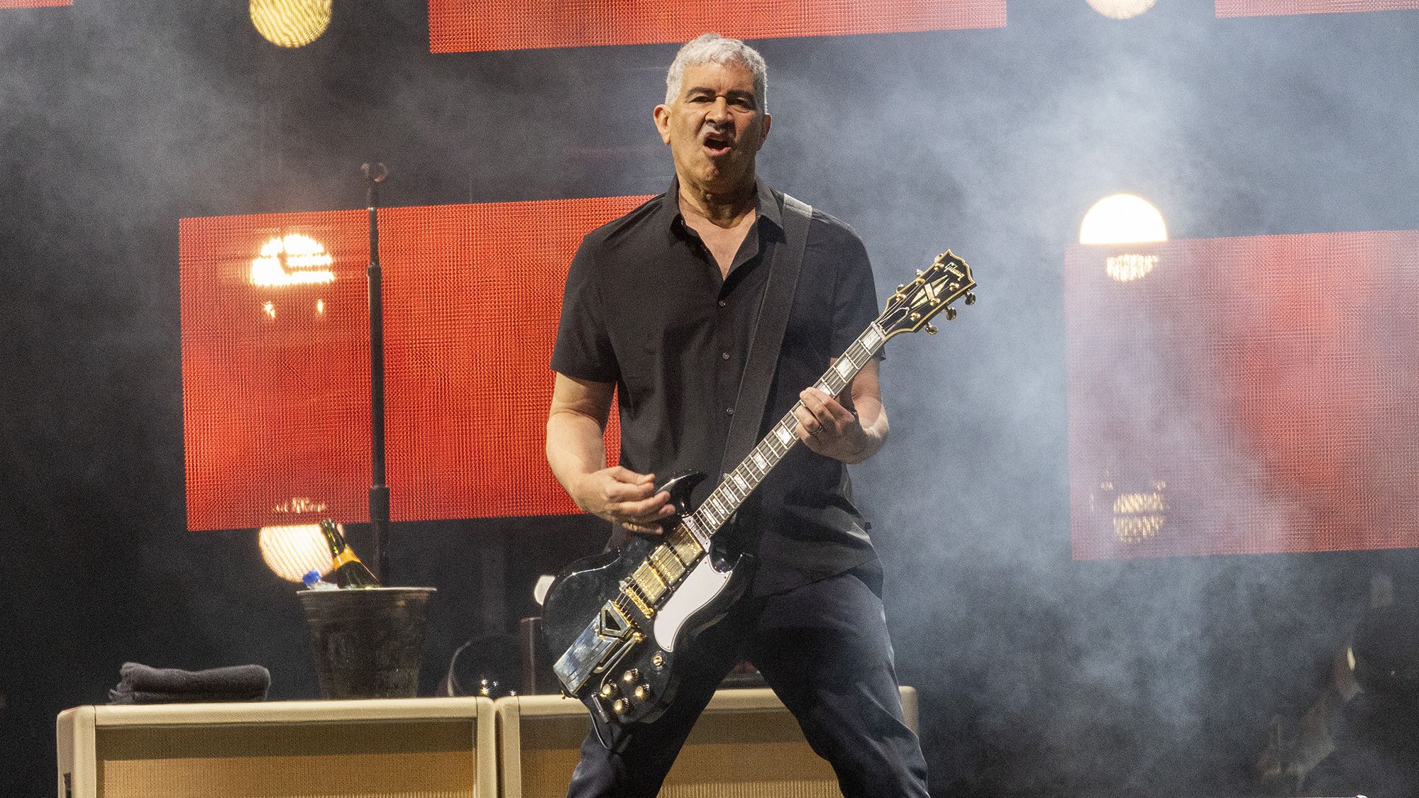 Pat Smear on the mend after unusual gardening mishap]