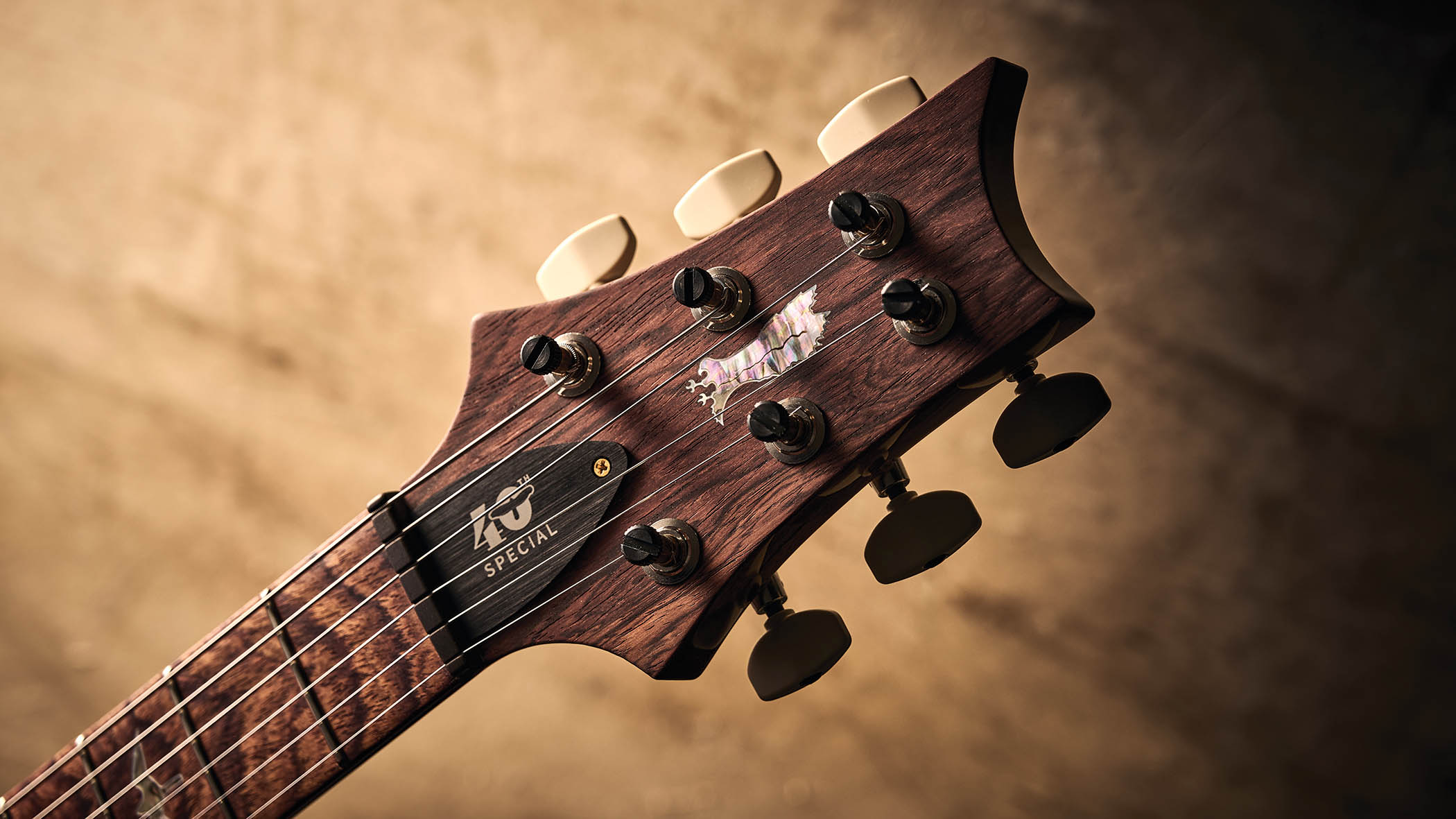 PRS 40th Anniversary Special Semi-Hollow Limited Edition