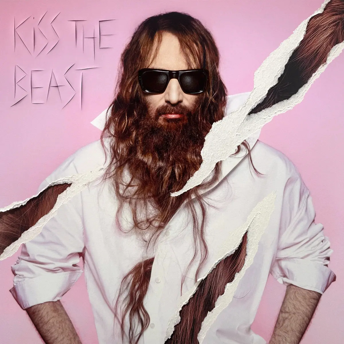 Sebastien Tellier Kiss the Beast