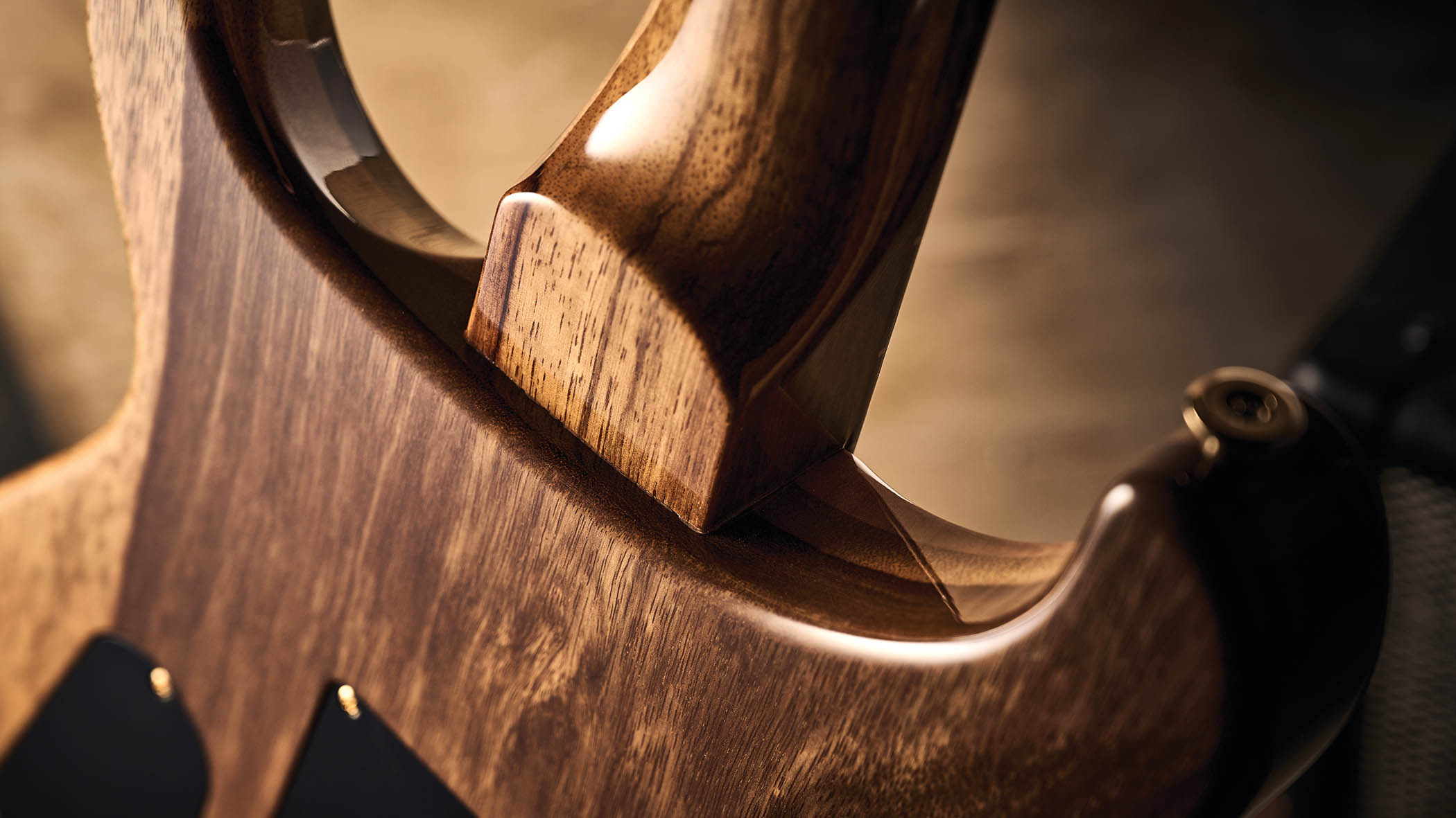 PRS 40th Anniversary Special Semi-Hollow Limited Edition