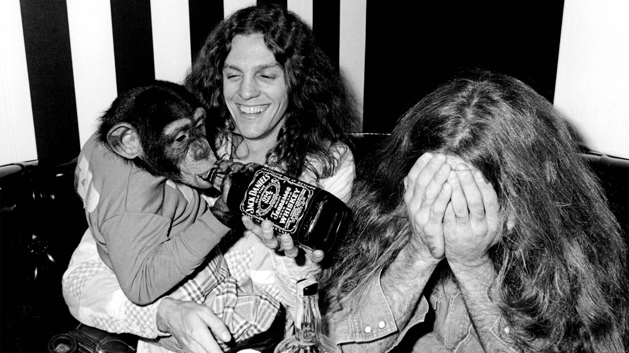 The Tale Behind Lynyrd Skynyrd’s Craziest Photograph]