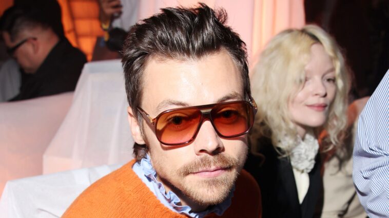 "You're Exclusively Working for Me: Recent Survey Shows Harry Styles is the Top Taxpayer in UK Pop"]