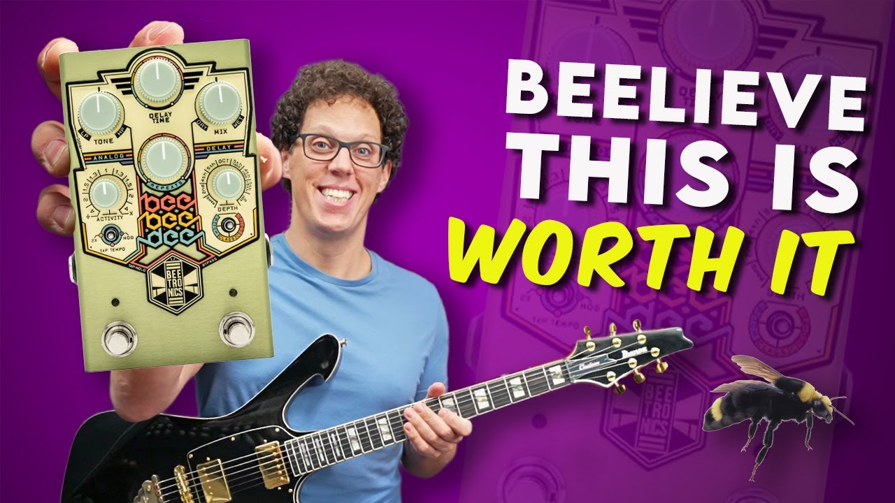 THIS is how to make an Analog delay pedal | Beetronics Bee Bee Dee - YouTube