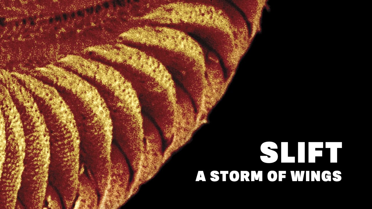 SLIFT - A Storm of Wings (Official Audio) - YouTube