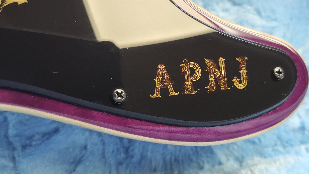 Close up detail shots of Dave Petillo's guitar for Hank Azaria 