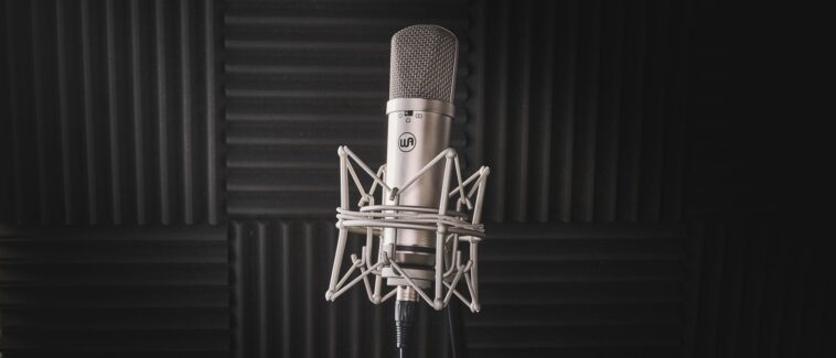 "Embodies the Spirit of the U87 Design and Perfect for Various Recording Applications: Warm Audio WA-87jr Review"]