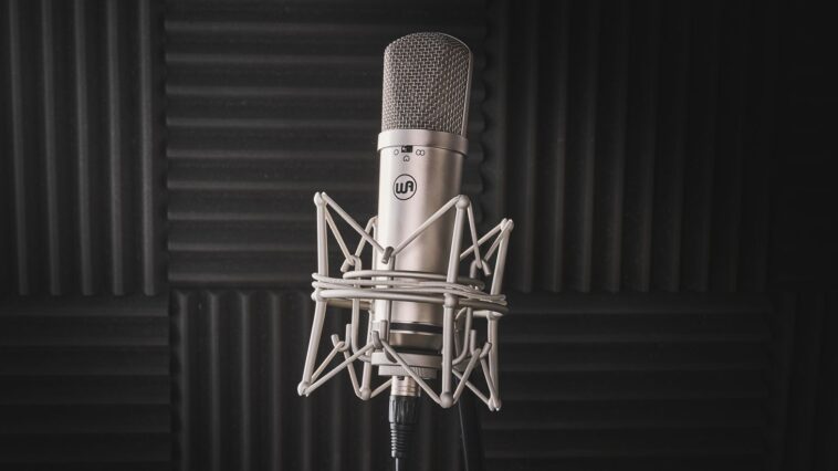 "Embodies the Spirit of the U87 Design and Perfect for Various Recording Applications: Warm Audio WA-87jr Review"]
