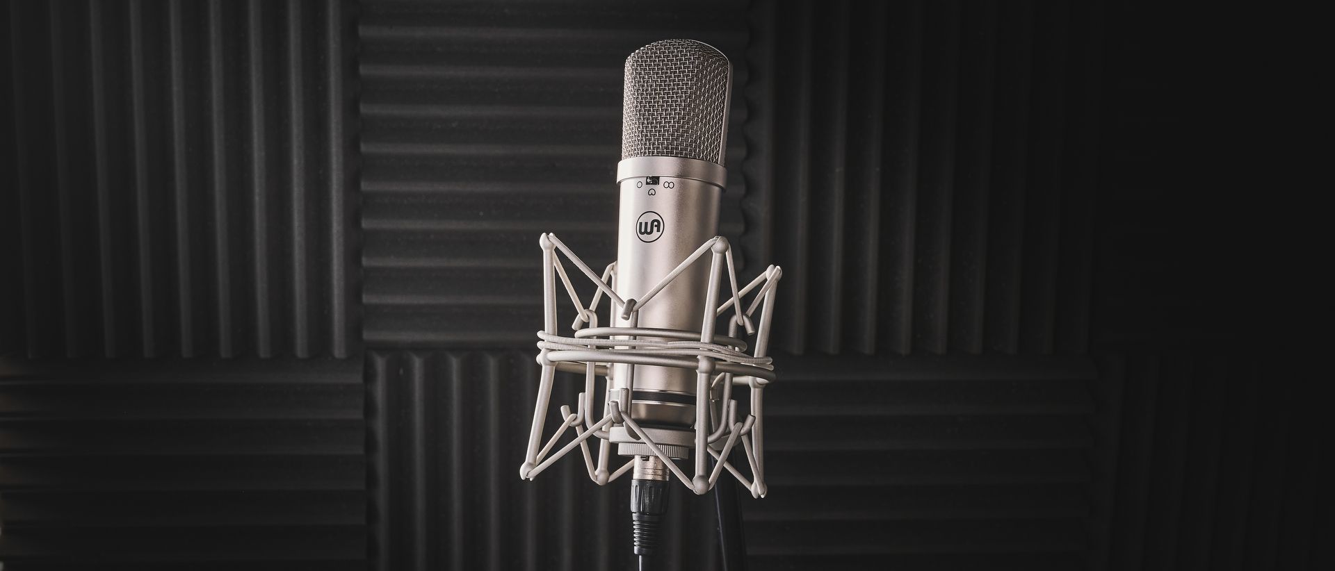 "Embodies the Spirit of the U87 Design and Perfect for Various Recording Applications: Warm Audio WA-87jr Review"]