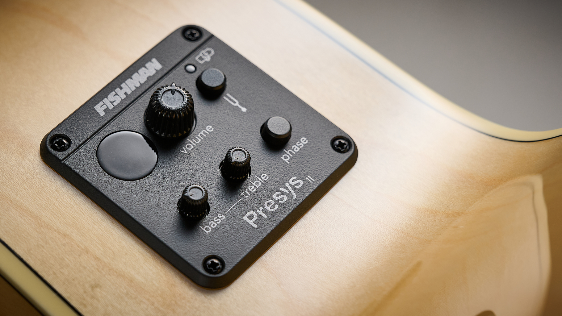 Custom Line King-12 CE NT