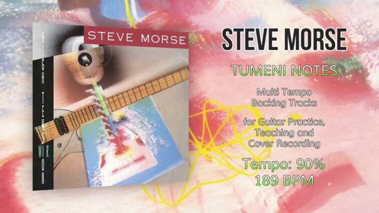 Steve Morse
