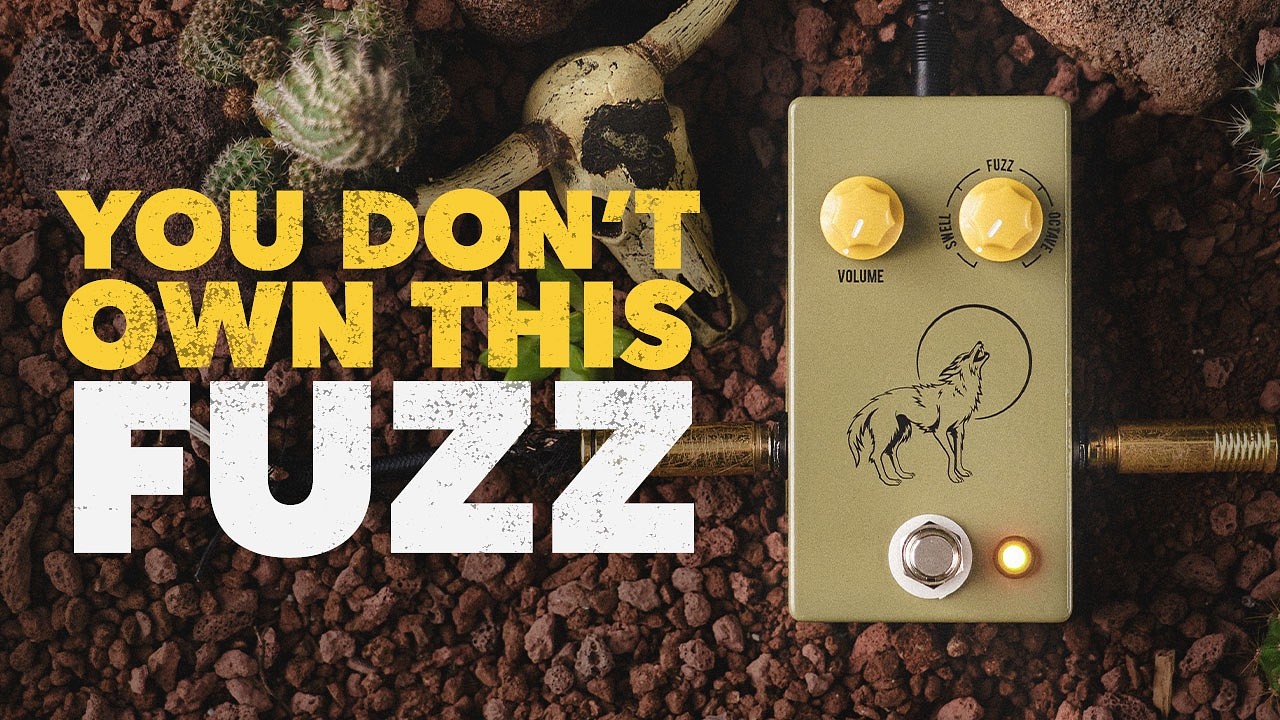The JHS Coyote Fuzz: Three Fuzzes in One Knob! - YouTube